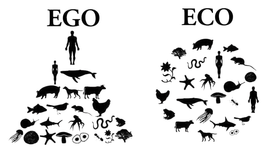 EGO ECO